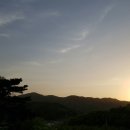 일도농장 이미지