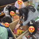 하늘을나는타조미술학원 | 항상 행복하고 즐겁게 배우는 영통 하늘을나는타조미술학원의 어린이날 풍경