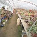 둘리농장 이미지