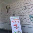 진성산업 | 2025 함평나비대축제 후기 | 아이와 함께 가 볼 만한 전남 봄꽃 명소