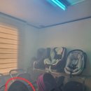 베베토피아 이미지