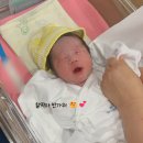 미래본병원 | 삼성미래여성병원 조리원 미래산후조리원 후기 제왕절개 출산 하고왔어요!