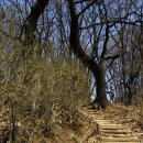 서리풀공원1-20 이미지