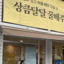 [하동 여행] 화개장터 필수 코스! 하동 여행 선물로 좋은 하동꿀배주 후기