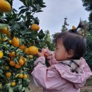 은하네농장 이미지