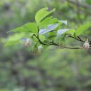 진동리의 아침 이미지