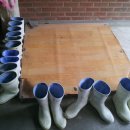 재복농장 이미지