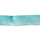 바다회식당 이미지