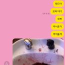 와크와크 이미지