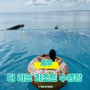 풀리프 | 세부 더 리프 아일랜드 리조트 막탄 수영장 & 프라이빗 비치 후기｜인피니티 풀 완전 정리