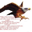 Jeep 양가죽 자켓 미친가격에 드리겠습니다. 마지막 기회~~!!! *** 판매완료 *** 이미지