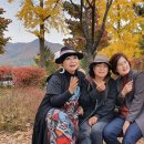 호계3동행정복지센터 이미지