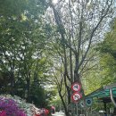 단정한까페 | Wedding 01. 단정한 웨딩홀, 아펠가모 반포점 계약 후기
