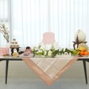 월드메디칼 | 도담도담 장난감월드 셀프 돌상 100일상 무료 대여 예약 사용 후기 (Feat. 서구 검단점)