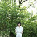새모습 세탁소 이미지