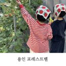 청초농장 | 용인 아이랑 갈만한 곳 포레스트 벨 (딸기 따기, 동물 먹이주기, 모래놀이)