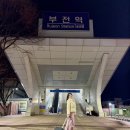 기차여행 | 부산에서 강원도 겨울 뚜벅이 기차여행 당일치기 후기