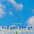 도시농부의 자원순환 텃밭농사 | [퍼머컬처 시리즈 ①] 게으른 농부의 완벽한 설계: "농사는 근육이 아니라 디자인이다"