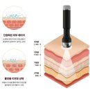 리하 에스테틱