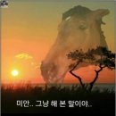 우리아리 이미지