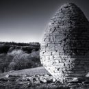 골드워시 이미지