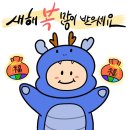 우리마을족발 | 월간 양파 [1月호] : 새해는 무슨 새해야