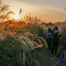 하늘공원 이미지