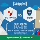 김창훈FC - 수성구 상록로 64 | 2015 승강 플레이오프 2차전. 부산아이파크 vs 수원FC. 후기/골장면 - 수원FC K리그클래식 승격