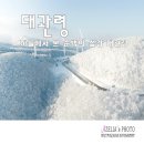 대관령1 - 3734 | 대관령1