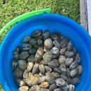 이원스테이 이미지