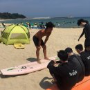 양양 네이버블로그