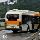 홍주여객 이미지