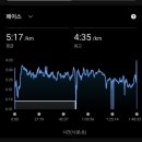 안성맞춤에너지 | [ 해모든 러닝 일기 ] 53회차 안성맞춤 마라톤 대회 후기 준비가 완벽했기에 완주도 완벽했다