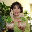 순남이네 이미지