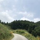 삼육사로23 이미지