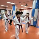 키움태권도장 이미지