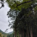 옥천사약수터 이미지