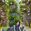 비지니스 이미지