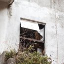 세우리동물병원 이미지