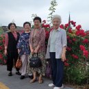 소망목장 이미지