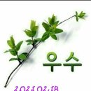 엔돌핀