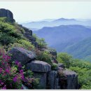 벽암제317차 정기산행 국립공원 무등산. 이미지