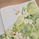 하은이네 농장 이미지