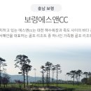 에스엔오토 이미지