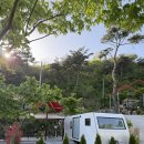 솔솔리조트 | 합천 펜션 솔솔리조트, 감성 카라반, 시설 좋고 깨끗한데 가성비까지 좋은 숙소!