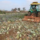 대정농업협동조합 농산물산지유통센터 이미지