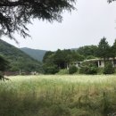 화순초수만분교장 이미지