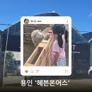 빛나농장 | 헤븐온어스 동물체험농장, 아이와 함께한 특별한 하루 🐰🐑