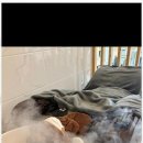 리안헤어 양평동점 네이버블로그