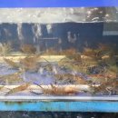 시거리식당 이미지